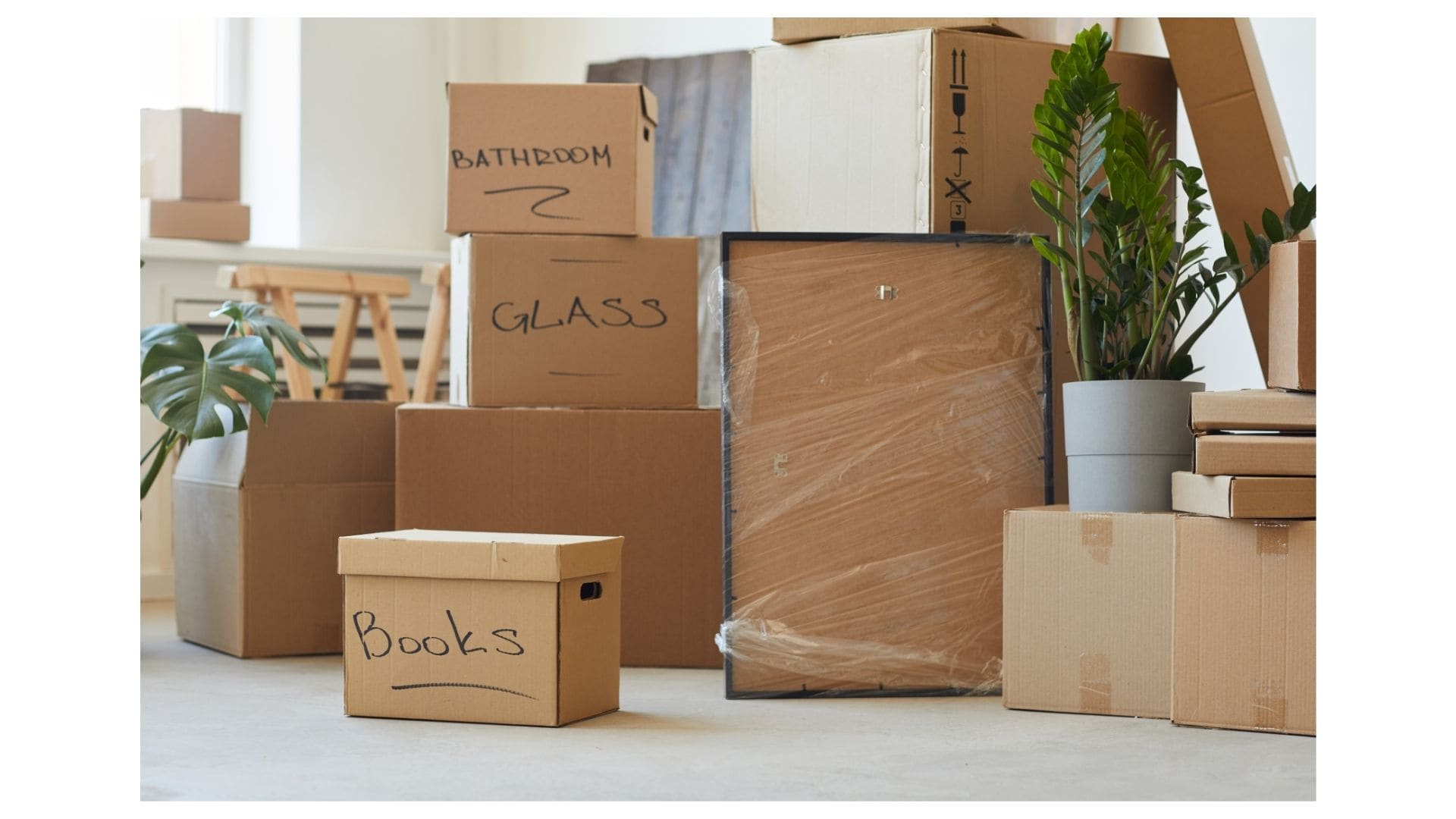 Stacked moving boxes labeled Bathroom, Glass, and Books with wrapped framed art and plants in a San Antonio home